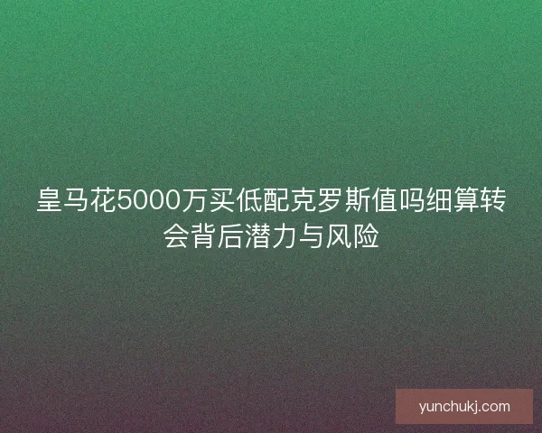 皇马花5000万买低配克罗斯值吗细算转会背后潜力与风险 皇马花5000万买低配克罗斯值吗细算转会背后潜力与风险